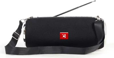 Produktbild von gembird Tragbare Bluetooth-Lautsprecher mit Antenne schwarz