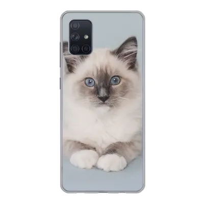 Produktbild von MuchoWow® Handyhülle Schutzhülle Hülle für Samsung Galaxy A71 Katze - Ragdoll Katze - Blau - Mädchen - Kinder - Jungen - Kind Silikon Softcase Handy Hülle - Kartenbesitzer