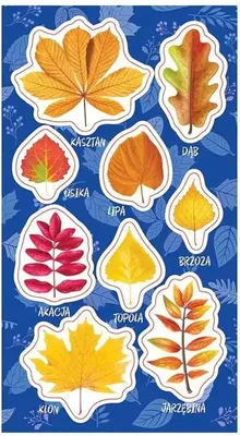 Image de Autocollants feuilles d'automne