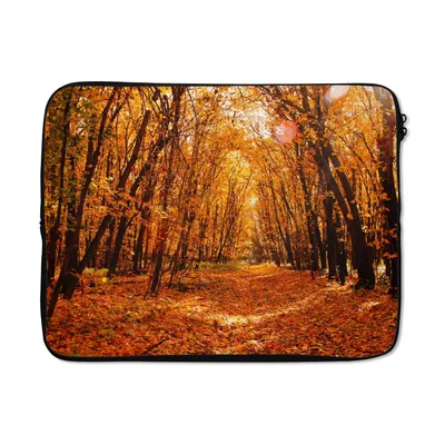 Produktbild von MuchoWow® Laptop Hülle 15 Zoll Herbst - Wald - Laub - Jahreszeiten Laptoptasche - Laptoptasche - Sleeve - Rundum-Schutz