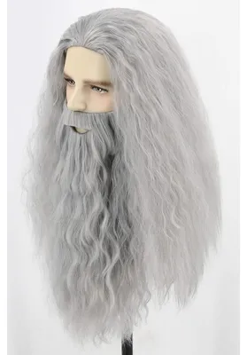 Obrázek produktu pro Kouzelnická paruka a vousy, kostým na Halloween pro muže, šedá, umělá vlákna