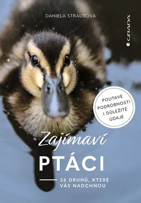 Zdjęcie produktu dla Zajímaví ptáci: 36 druhů, které vás nadchnou | Daniela Strauß