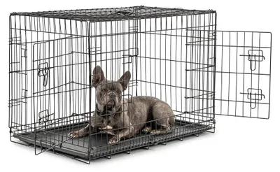 Produktbild von Hundetransportbox Hundekäfig Transportkäfig - XL 92 x 58 x 64 cm - Klappbar - Für Hunde und Katzen
