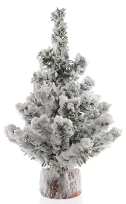 Produktbild von Minibaum Snowy Toronto Grün / beschneit H 20 cm
