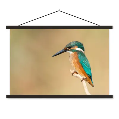 Produktbild von MuchoWow® Textilposter Eisvogel - Tiere - Vogel 60x40 cm mit schwarzem Rahmen - Hölzernes