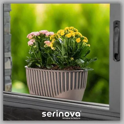 Zdjęcie produktu dla 1+1 donice Piano Mokka Antrazit Serinova Kwiaty balkonowe z drenażem 32 cm, odporne na zimę i promieniowanie UV
