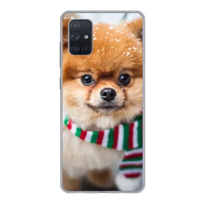 Produktbild von MuchoWow® Handyhülle Schutzhülle Hülle für Samsung Galaxy A71 Hund - Halstuch - Schnee Silikon Softcase Handy Hülle - Kartenbesitzer
