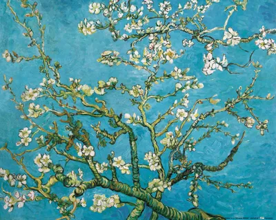Produktbild von Vincent Van Gogh Kunstdruck Bild - Blühende Mandelbaumzweige, 1890 (40 x 50 cm)