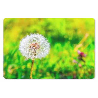 Produktbild von MuchoWow® Mauspad Mousepad Löwenzahn - Gras - Blume 27x18 cm - Mousepads - Maus Mat - Pad - Mausunterlage - Büroartikel - Desk Matten