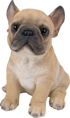 Produktbild von Dehner Dekofigur Französische Buldogge Welpe, ca. 18 x 16.5 x 13 cm, Polyresin, braun
