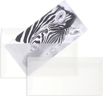 Produktbild von Transparente Briefumschläge - Weiß (Transparent-Weiß)110 x 220 mm (DIN Lang) | 90 g/qm Offset | Ohne Fenster | Haftklebung | Gerade Klappe | 100 Stück
