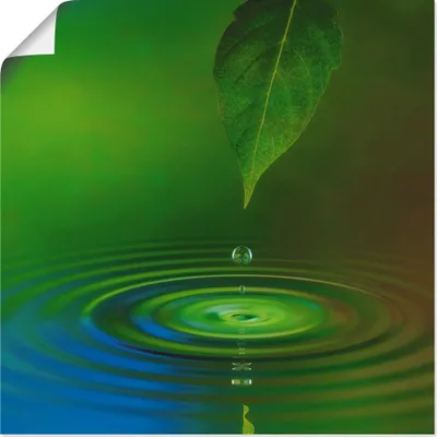 Produktbild von ARTland Poster Wassertropfen Größe: 30x30 cm