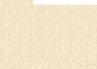 Immagine prodotto di HNFD 10 divisori per scatola foto 15x20 cm Avorio di Castiglia