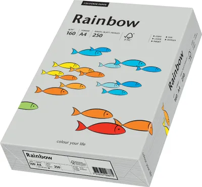 Produktbild von PAPYRUS Multifunktionspapier Rainbow A4 160 g/qm grau 250 Blatt