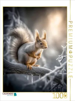 Produktbild von CALVENDO Puzzle Eichhörnchen | 1000 Teile Lege-Größe 64x48cm Foto-Puzzle für glückliche Stunden
