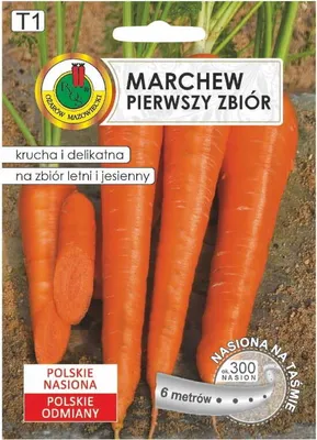 Obrázek produktu pro První sklizeň mrkve na 6m pásku Raná odrůda