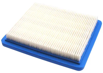 Image de Filtre à air B&S Quantum / popular 010120