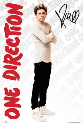 Produktbild von One Direction Poster Niall Logo