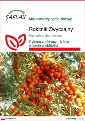 Zdjęcie produktu dla SAFLAX - Rokitnik Zwyczajny - 40 Nasiona - Hippophae rhamnoides