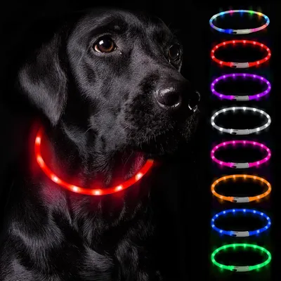 Productafbeelding van Hondenhalsband lichtgevend, verstelbaar, rood, voor wandelen