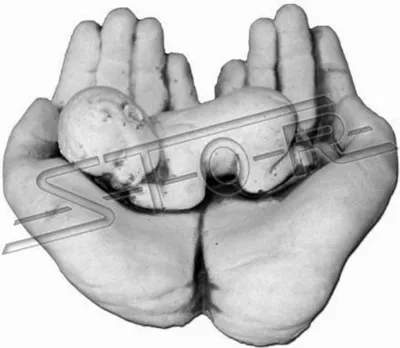 Produktbild von Dekoration Figur Hand Statue Baby Geborgenheit Statuen Designer Figuren S101104
