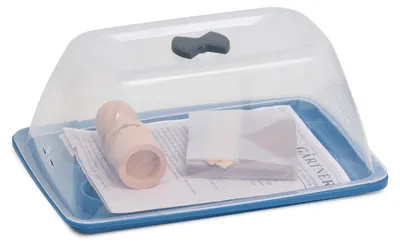 Image de Romberg Anzucht-Erlebnisbox plus Zubehör (29×19×14 cm, Anzucht Pflanzen)