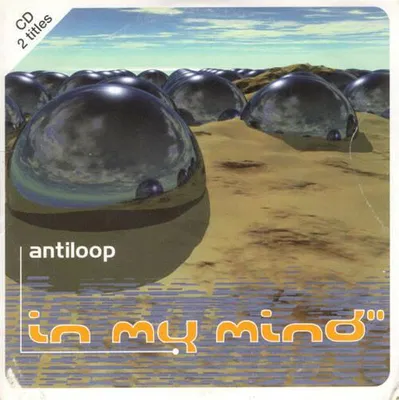 Zdjęcie produktu dla In My Mind