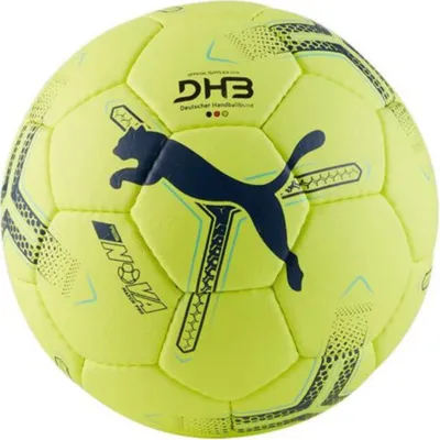 Image de Balons Puma 8439801