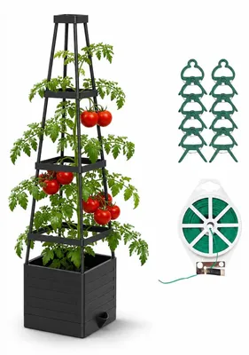 Immagine prodotto di Aiuola rialzata con struttura a graticcio per pomodori e piante rampicanti
