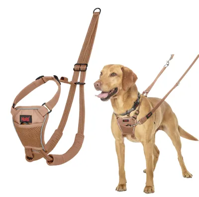 Imagen del producto de Arnés antipulgas para perros Halti, talla M, color arena