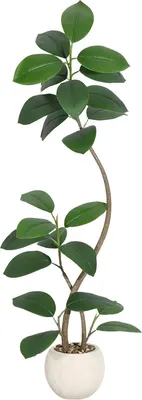 Imagen del producto de Ficus Lyrata artificial, 150 cm. Planta artificial tropical de alta calidad para interiores, color verde