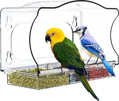 Produktbild von Vogelvoederbak für Fenster - Vögel beobachten - 1 Stück - Acryl