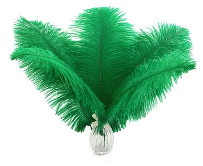 Productafbeelding van Strandveertjes - Decoratieve veertjes voor vazen - 12 stuks - Groen - 25–30 cm