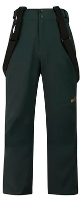 Produktbild von Protest PRTMIKADO snowpants grün S