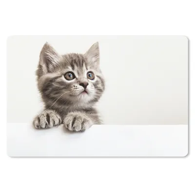 Produktbild von MuchoWow® Schreibtischunterlage Katze - Grau - Tiere 60x40 cm - XXL Mauspad - Großes Mauspad