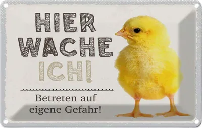 Produktbild von vianmo Blechschild 20x30 cm Küken hier wache ich eigene Gefahr Tier Haustier