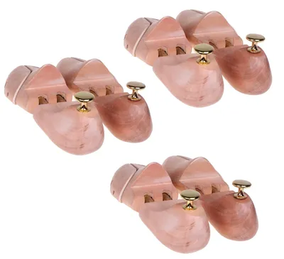 Image de Formes à chaussures en bois avec poignée