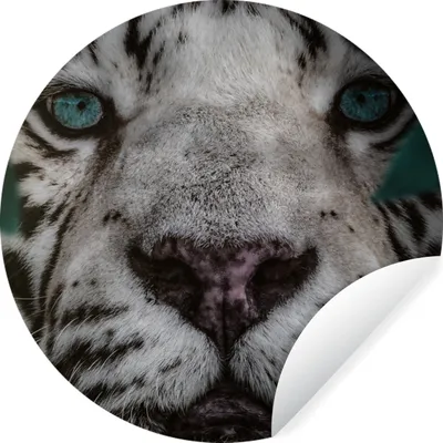 Produktbild von MuchoWow® - Wandbild - Fototapete - Selbstklebend - Dekoration - Wandschmuck - Schlafzimmer
