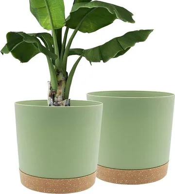 Productafbeelding van Famanu bloempotten, 30,5 cm - Set van 2 met afvoergaten en een afneembare bodem, groen
