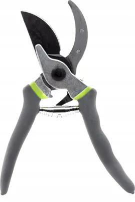 Productafbeelding van Kinzo - Handige heggenschaar, 21 cm