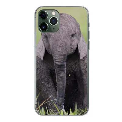 Produktbild von MuchoWow® Handyhülle Schutzhülle Hülle für iPhone 11 Pro Elefant - Baby - Tiere - Gras - Natur Silikon Softcase Handy Hülle - Handy