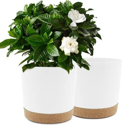 Produktbild von Famanu Blumentöpfe 2er Set, 25,4 cm mit Abflusslöchern und abnehmbarem Boden - Weiß