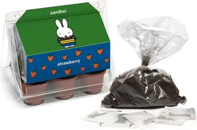 Image de Nijntje Jouet éducatif Mini-serre Kit de culture de fraises pour enfants