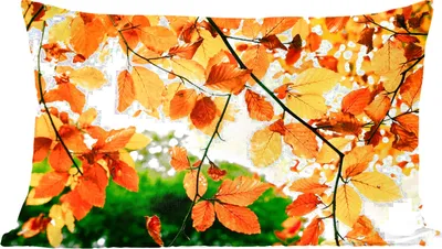 Produktbild von MuchoWow® Zierkissen Sofakissen Wohnzimmer Dekokissen 60x40 cm Herbstblätter - Baum - Rustikal - Kopfkissen - Polster mit Foto