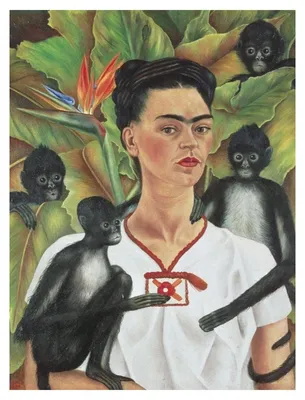 Obrázok produktu pre PIATNIK Frida Kahlo 1000 dielikov puzzle
