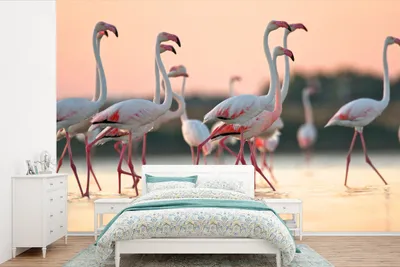 Produktbild von MuchoWow® Fototapete für Wohnzimmer oder Schlafzimmer Wandtapete Vinyl Motivtapete Gruppe von Flamingos bei Sonnenuntergang in Italien - 450x300 cm - Gemusterte