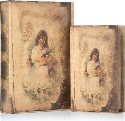 Image de Moritz Set de 2 coffres-forts pour livres Fausse fille avec chat Boîte de sécurité Coffre-fort Pochette à livres Cache-argent