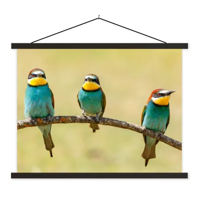 Produktbild von MuchoWow® Textilposter Vögel - Tiere - Bienenfresser 120x90 cm mit schwarzem Rahmen - Aufhänger für Poster