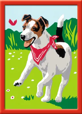 Immagine prodotto di Ravensburger Spieleverlag 27969 - Cane con farfalla - Dipingi per numeri, 13 x 18 cm