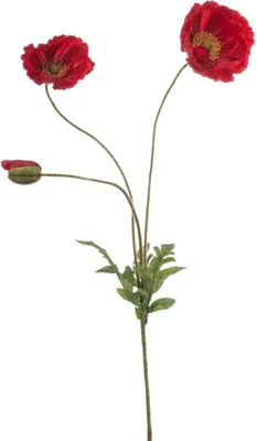 Produktbild von artplants.de Kunst Zweig Mohnblume SCHUNRA, rot, 75cm - Deko Mohnblumenzweig